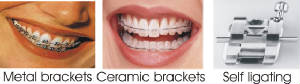 ortho.jpg
